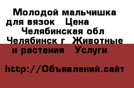 Молодой мальчишка для вязок › Цена ­ 10 000 - Челябинская обл., Челябинск г. Животные и растения » Услуги   